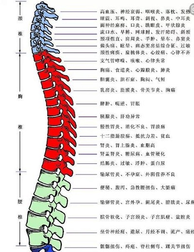 中(zhōng)醫推拿正骨小(xiǎo)兒推拿培訓：腰曲變直的危害分(fēn)析，自己可以如何改善？