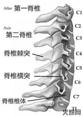 頸椎病有多要命？你的頸椎真的還好嗎(ma)？